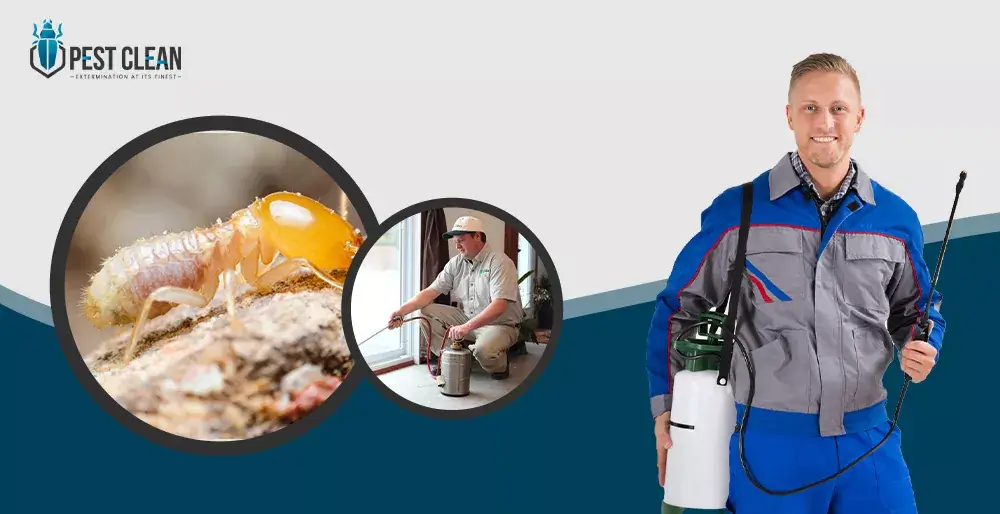 Termites Control Services