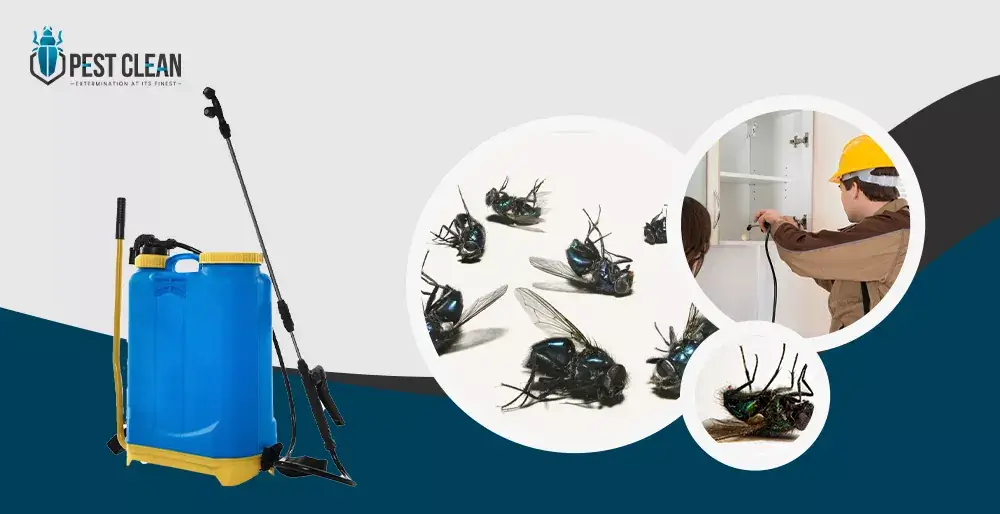 Flies Control Services