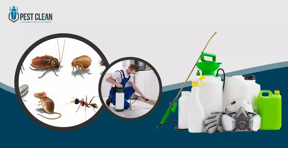 rodent control services