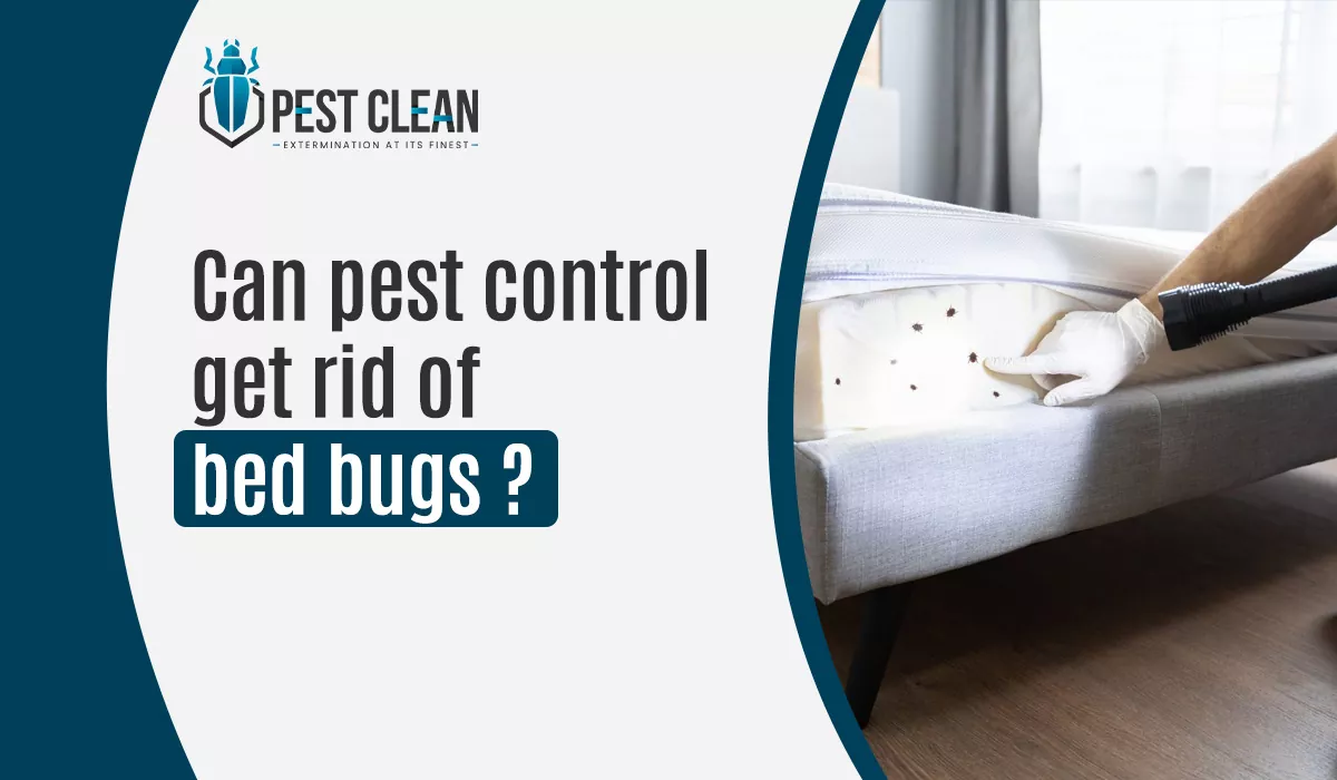 Can Pest Control Get Rid of Bed Bugs ?