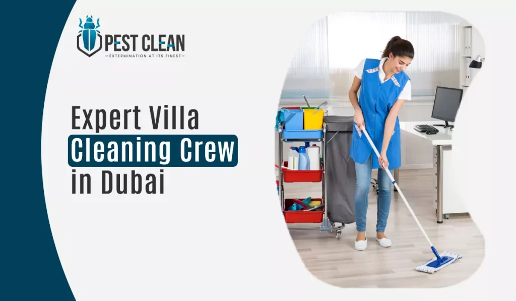 Expert Villa Cleaning Crew in Dubai
