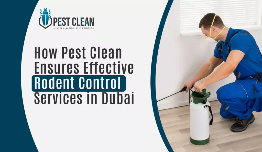 How Pest Clean Ensures Effective Rodent Control Services in Dubai
